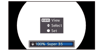 GY-LS300 VSM_Setting1